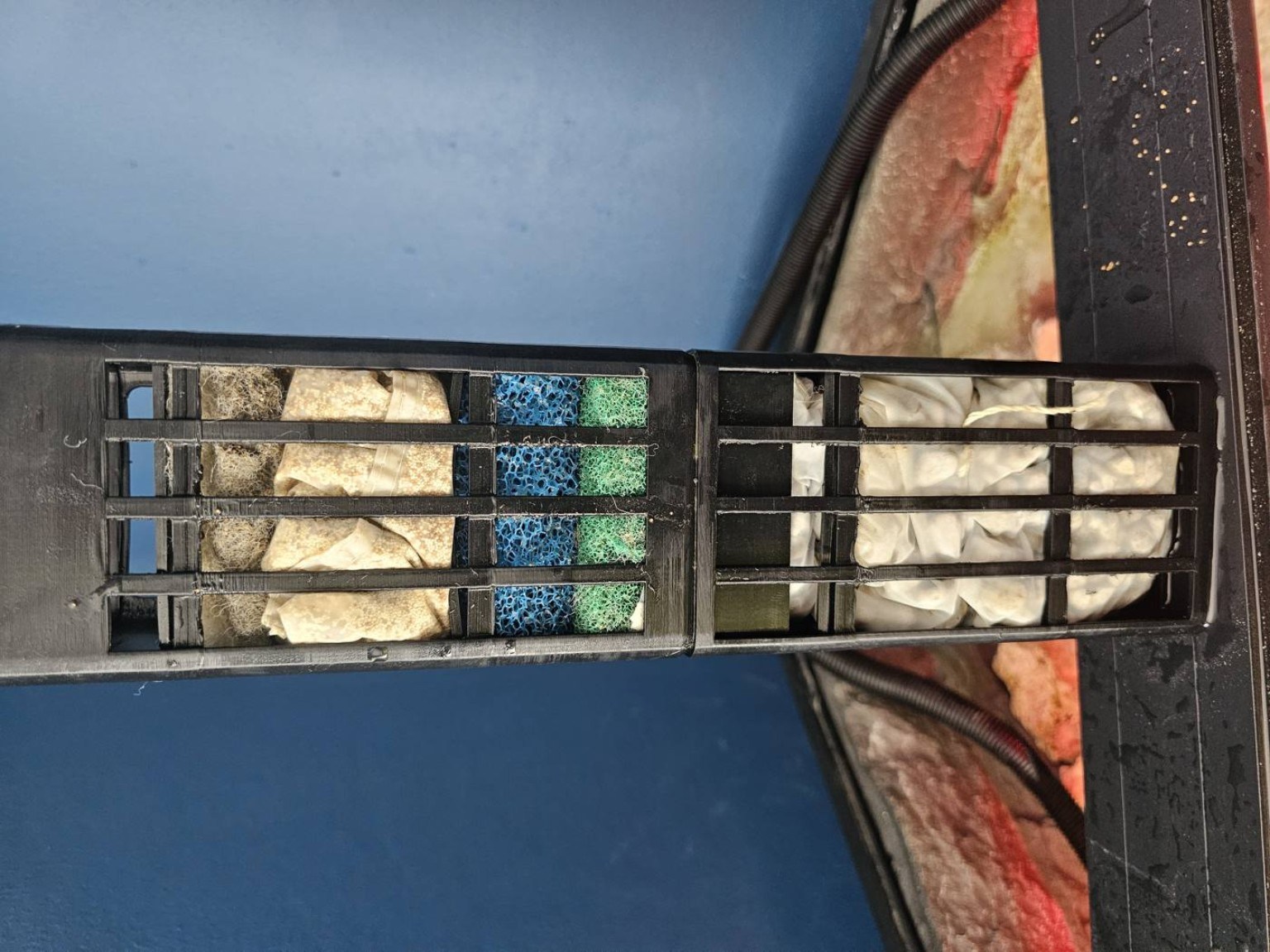 Bioflow M prototype caddy loaded with media