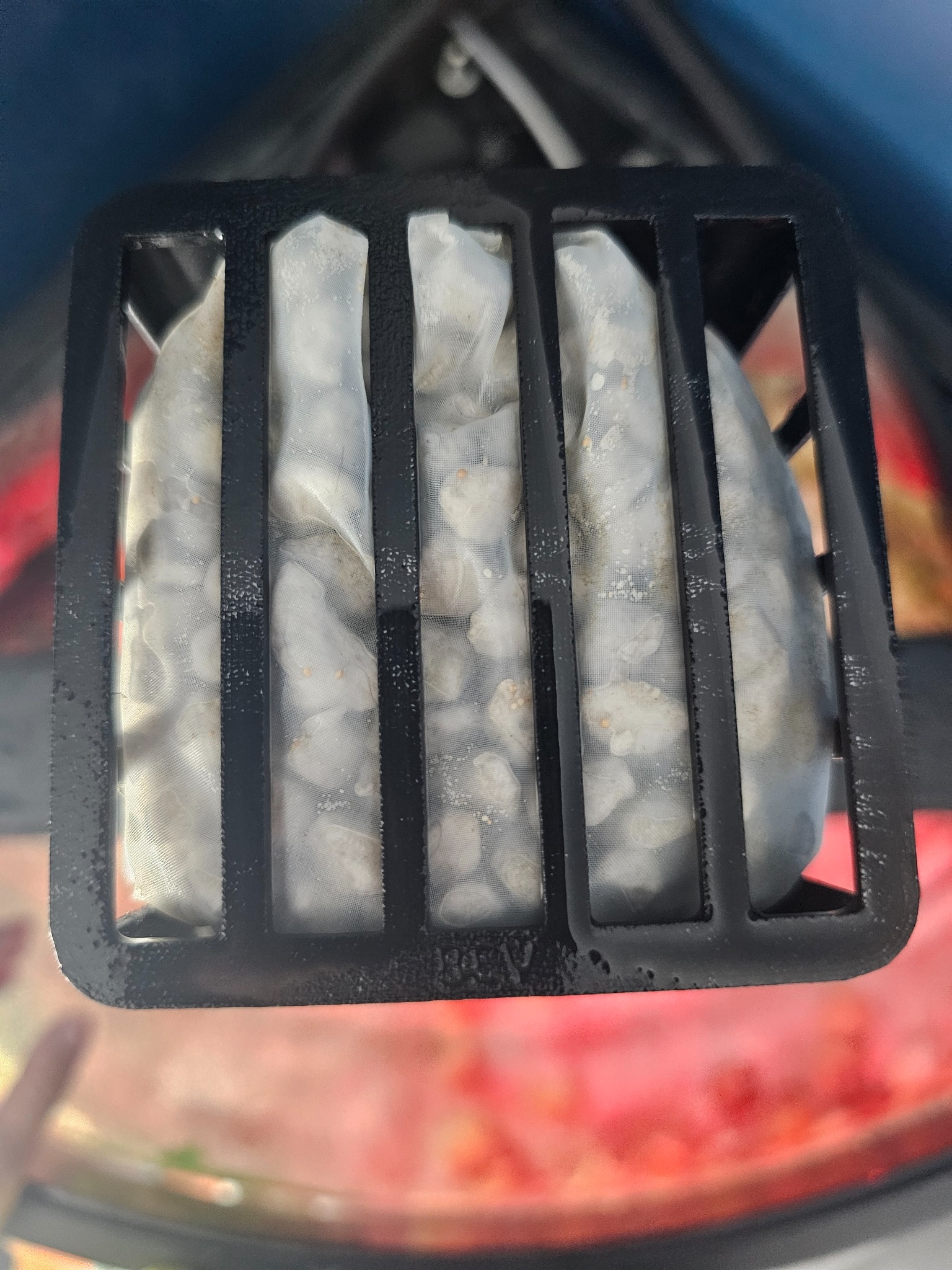 Bottom view of the lower chamber of the Bioflow prototype after seven days