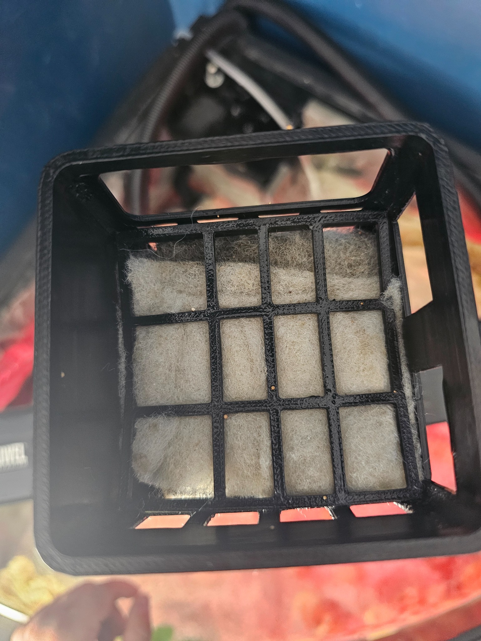 Top-down view into the top of the Bioflow prototype after seven days