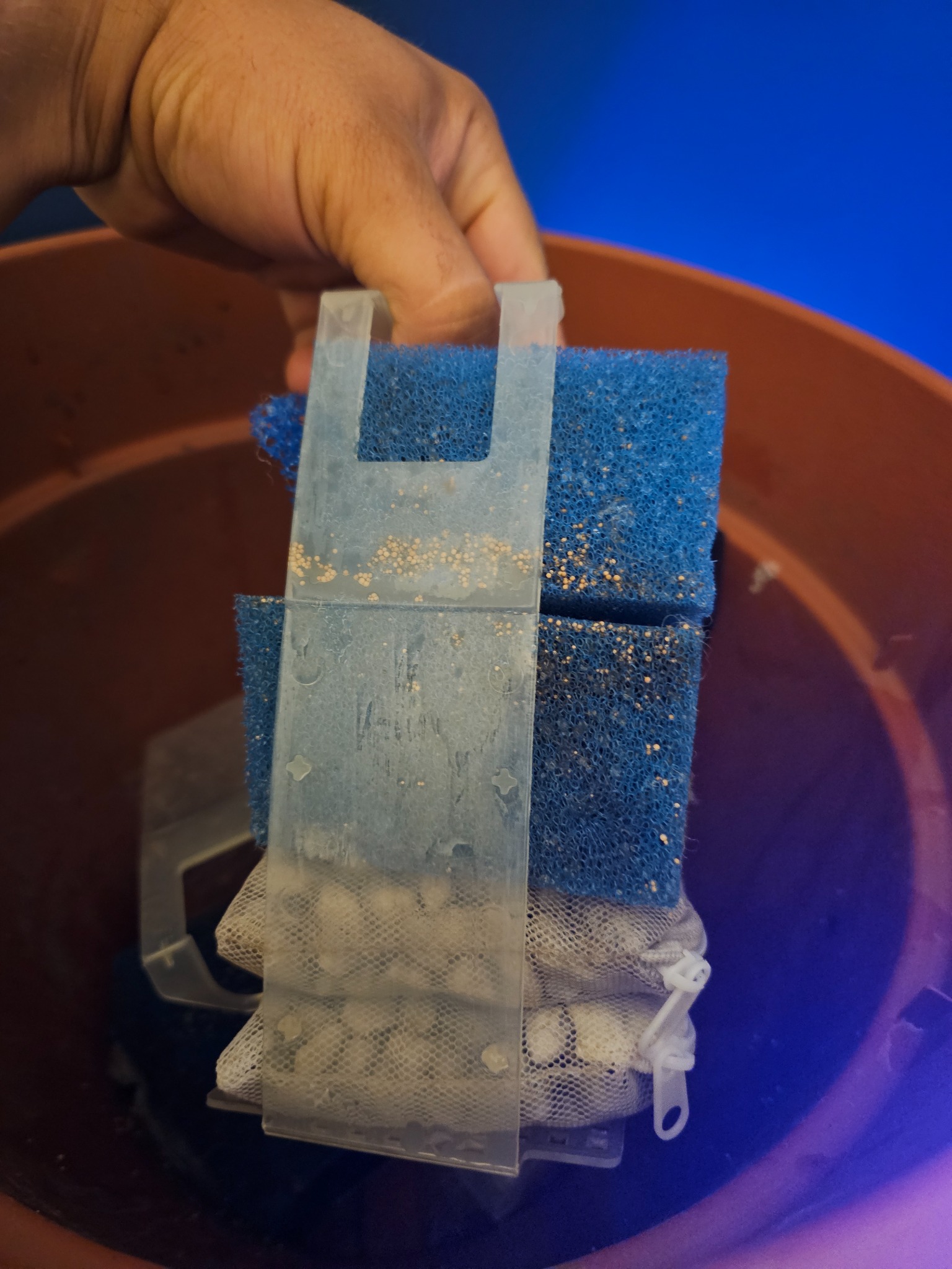 Rear view of original stock filter basket and media